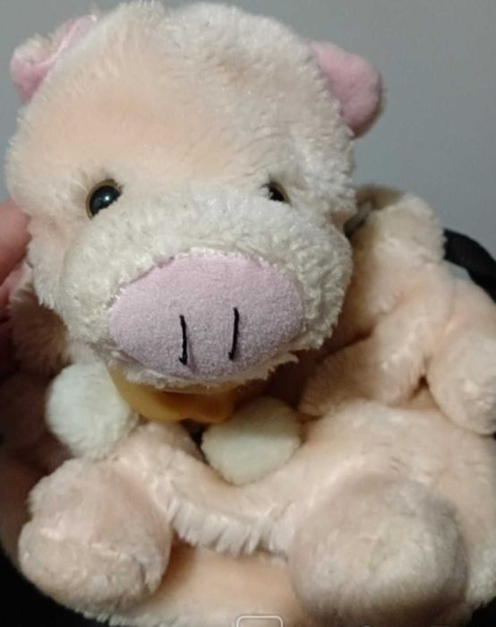 Пупс- Рюкзак  Гарний стан