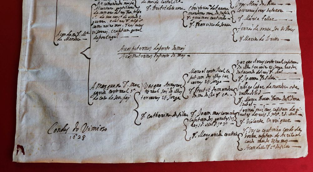 Apelido Portugal, Condes de Vimioso, 1628 árvore genealógica