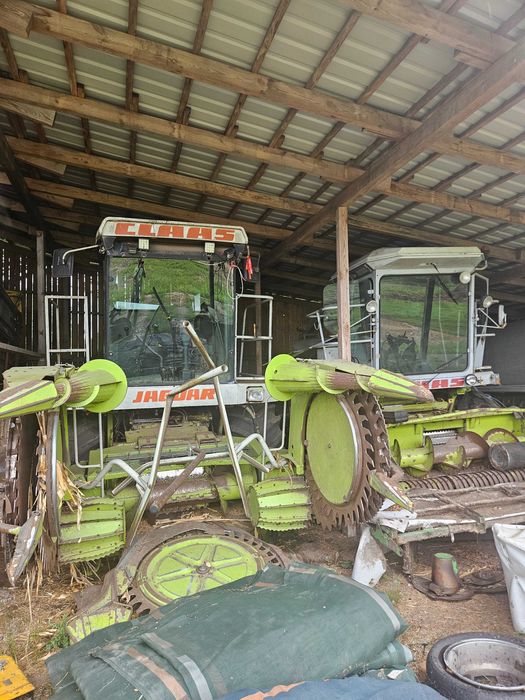 Sieczkarnia do kukurydzy claas