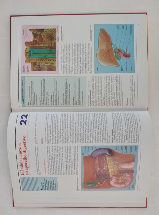 Atlas de Anatomia Humana - livro e cd novos 15€ só o livro 10€