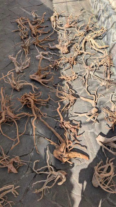 Коряги для аквариума. Корни Азалии, Мопани, Мангровые, Ротанг, бонсаи