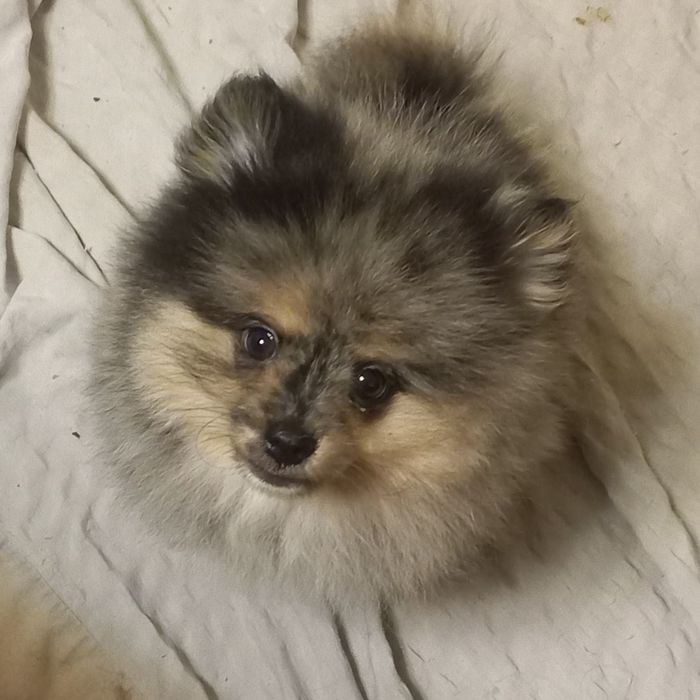 Неймовірний хлопчик