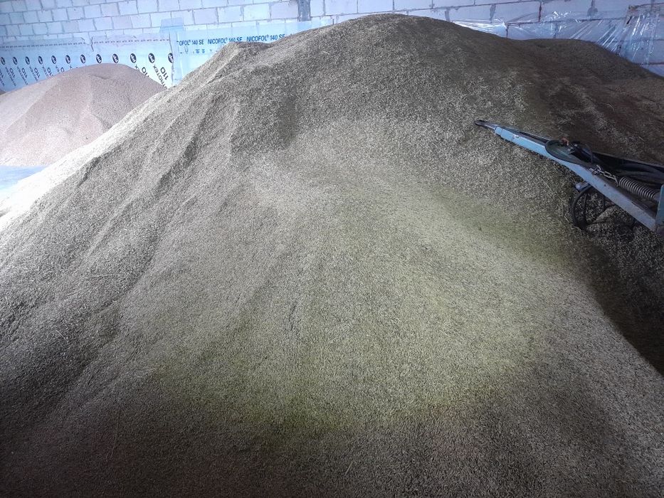 Sprzedam  Owies  sezon 2025