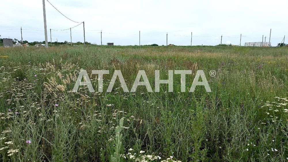 Участок 6 соток в Эдельвейсе