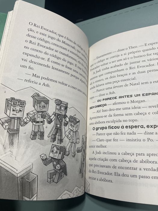 Livro de leitura : Livro de Minecraft “O fim do overworld”
