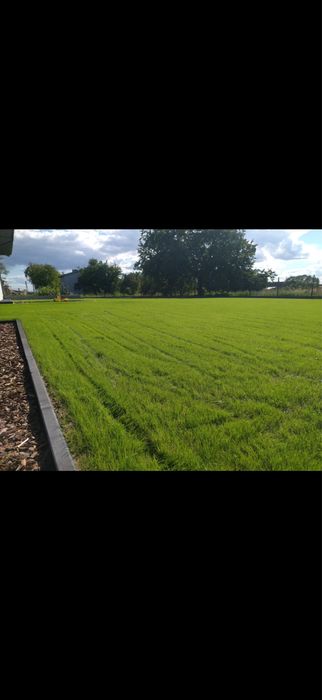 Uslugi ogrodnicze nie czekaj dzwon !!!