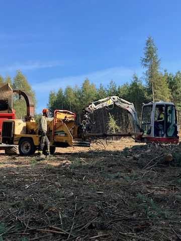 Usługa rębakiem i wycinka drzew