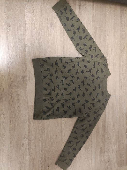 Речі на хлопчика: штани Zara, піжамні флісові, кофта з динозаврами