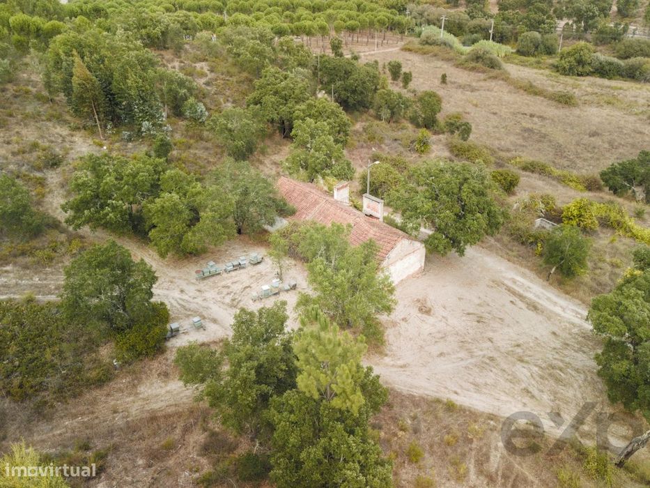 Quinta Florestal de 12,5 Hectares com Casa de Lavrador Centenária em B