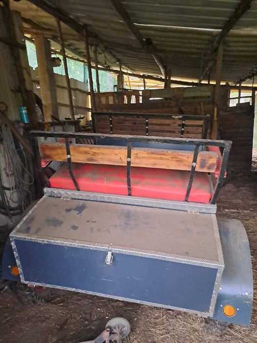 Carroça de cavalos