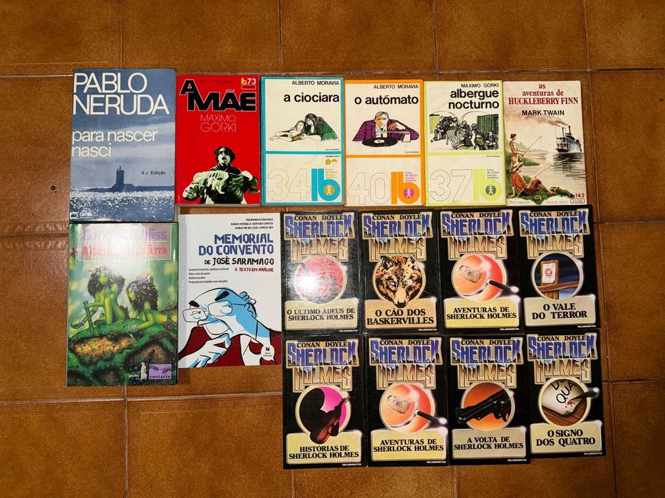 Vendo conjunto de 200+ livros (9-13)