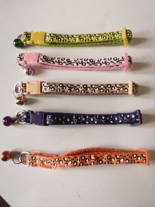 Coleiras de gato cão