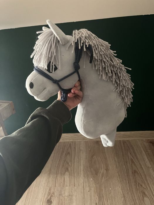 hobby horse z halterem