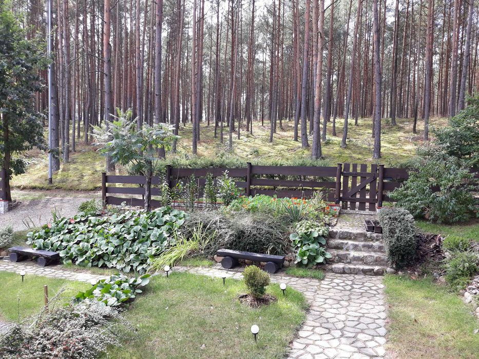 Domek letniskowy "Okna na Las"