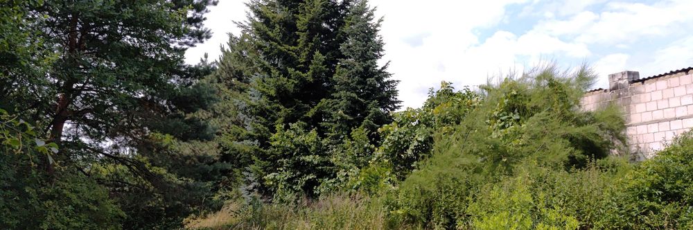 Sprzedam działkę budowlaną w Kolonìi Łucka koło Lubartowa