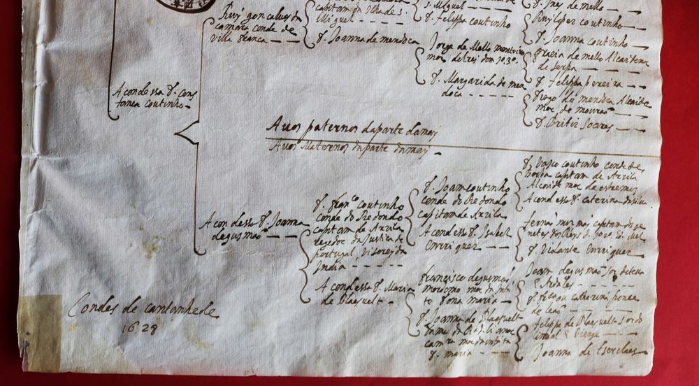 Meneses, Condes de Cantanhede 1628 árvore genealógica