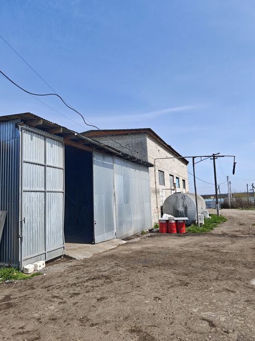 Продаж майнового комплексу та діючого експортно-орієнтованого переробного підприємства