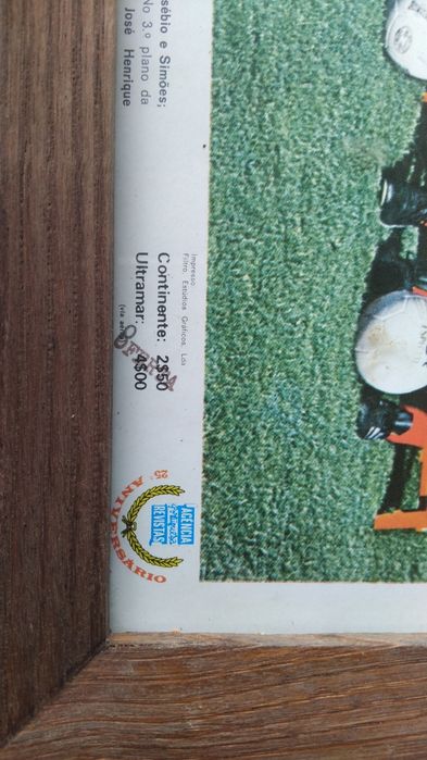 Quadro do Benfica 1982