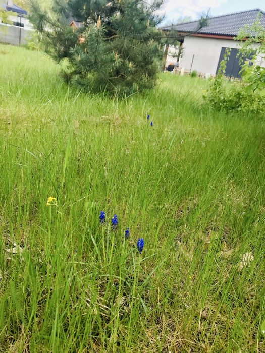 Działka budowlana las / jezioro Poznań Czapury