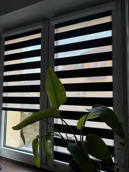 Rolety plisowane, dzień/noc, żaluzje drewniane, moskitiery - na wymiar