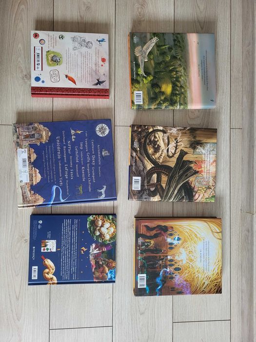 Livros Harry Potter - coleções especiais/ilustradas desde 10€