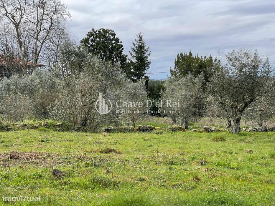 Mixed Plot for Sale in Espinho, Mangualde