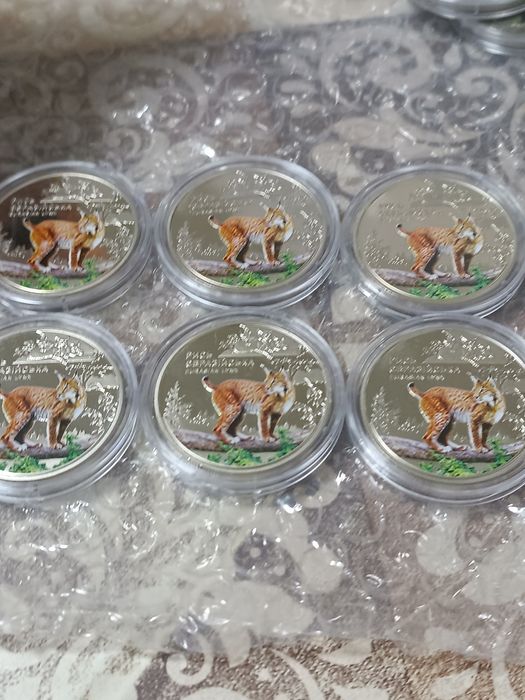 2000 грн.ведмідь рись