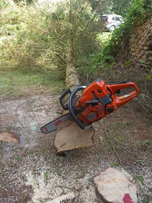 Wycinka drzew, usuwanie pni niedrogo.