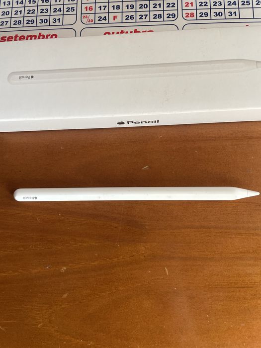 Apple pencil para ipad