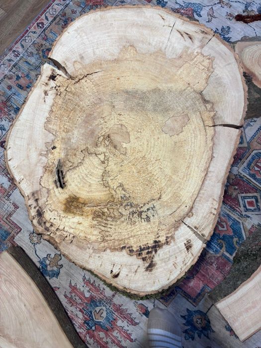 Sprzedam plaster jesiona