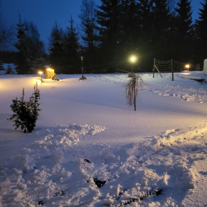 Ferie ZIMA 2025/2026 Zieleniec - Lasówka