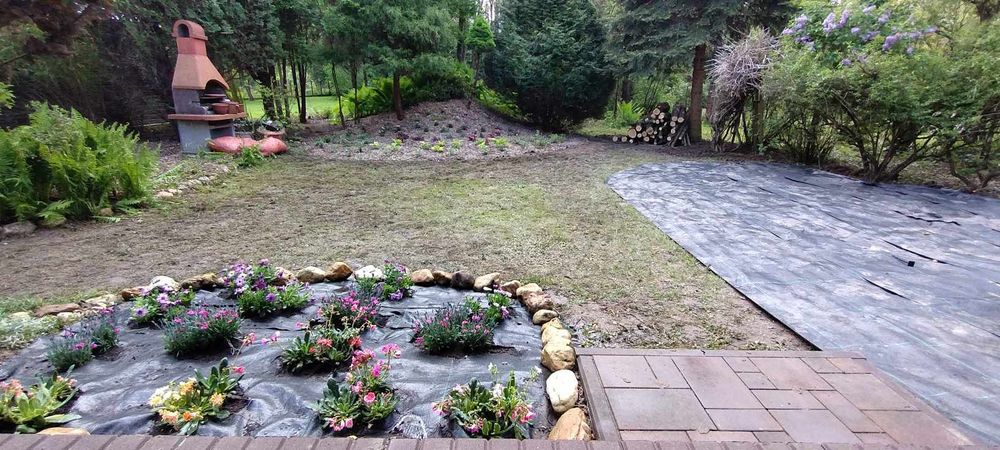 Wycinka drzew ,Koszenie trawy, zakładanie ogrodów, wywóz Wb garden