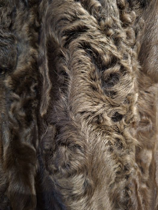 Futro naturalne karakuły