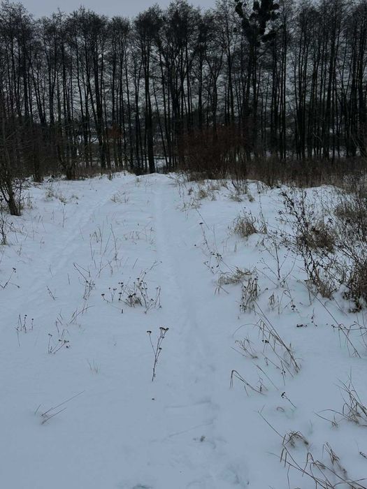 Продам земельну ділянку під забудову в Стрижавці 5330