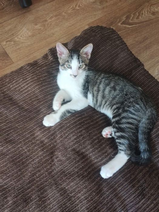 Хлопчик шукає родину