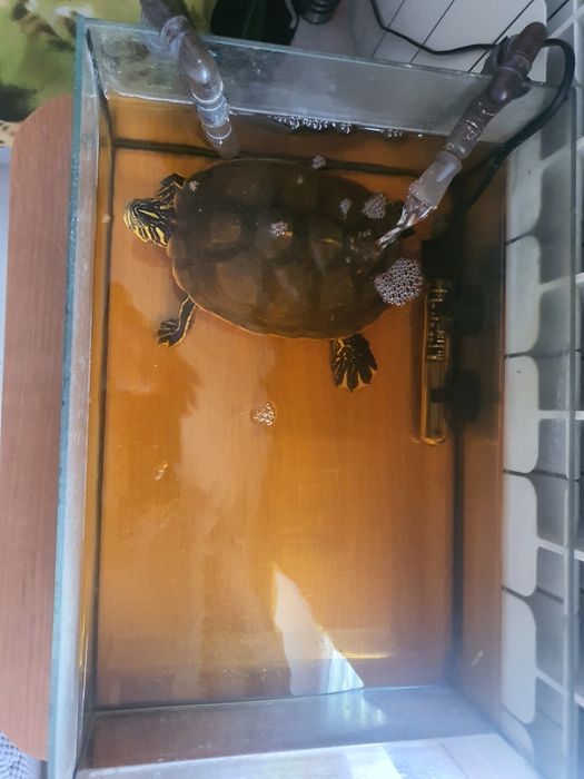 Sprzedam akwarium z całym wyposażeniem