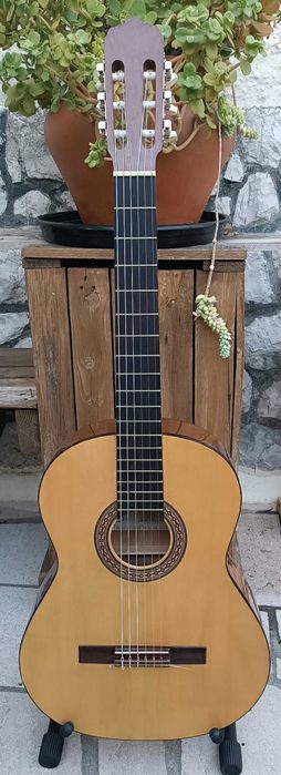 Guitarra Portuguesa APC 1S + Bag almofadado - (Solid Top)- Great Deal