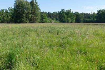 Działka rolna 1,5 Ha , 5 km od Koła