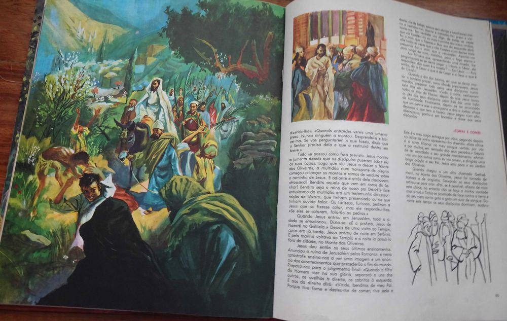 A Bíblia (Contada A Todos Os Jovens) - 1º Edição 1963