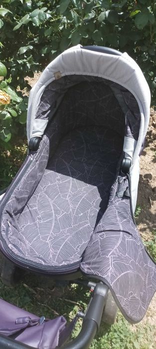 Дитяча коляска Anex Q1 Sport Discovery