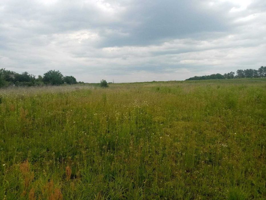 (7) Продаж ділянки під житлову забудову в с. Дружелюбівка (5813)