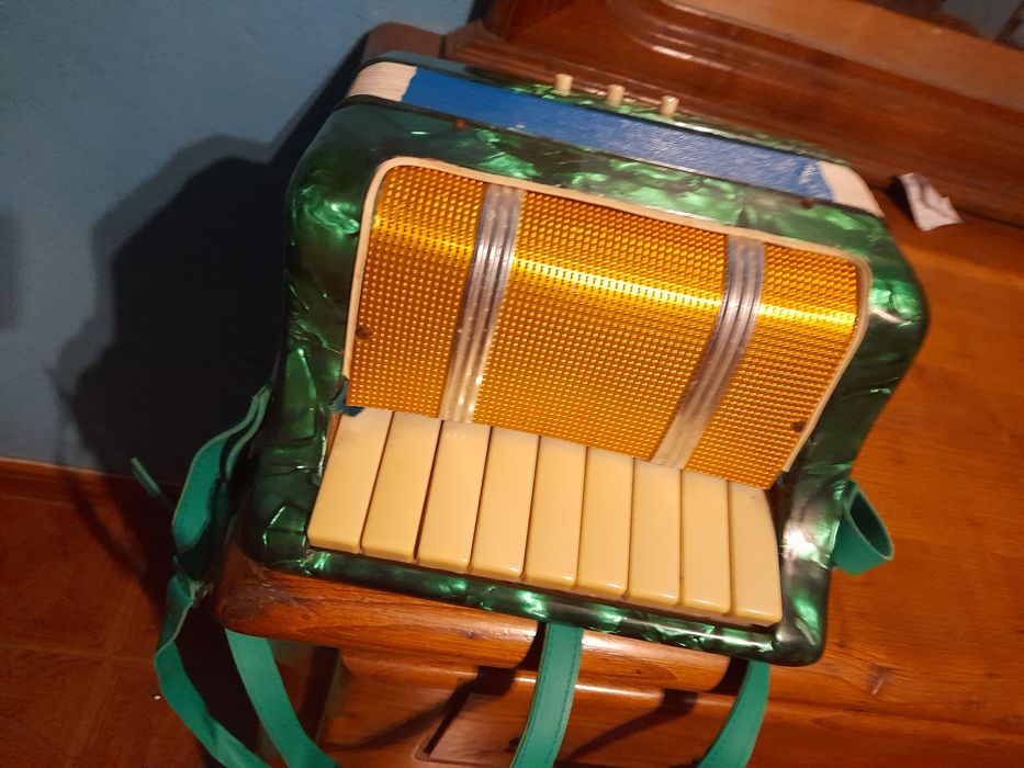 acordeon em bom estado como se encontra-se nas fotografias