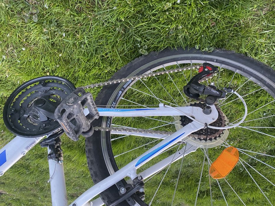 Rower kross bialo niebieski