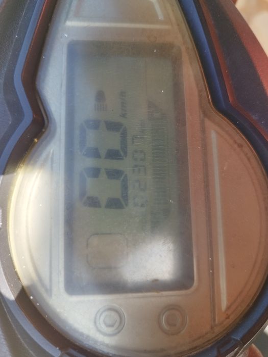 Mota elétrica Goose fave pronta a andar