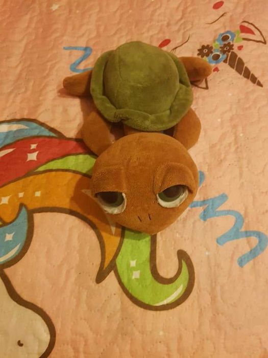 Peluche antialérgico Tartaruga
