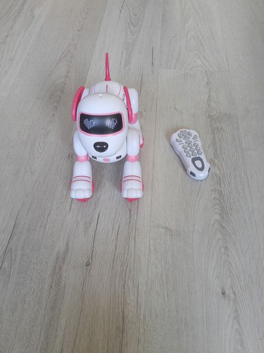 Pies robot dla dzieci