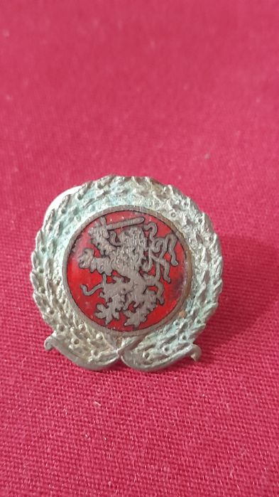 Alfinete Lapela e Distintivos (Lote 5)