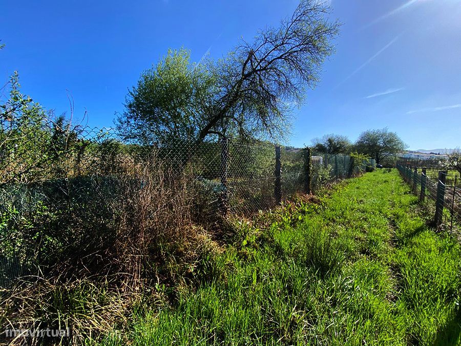 Terreno rústico plano, furo de água local tranquilo, luminoso, Maiorga