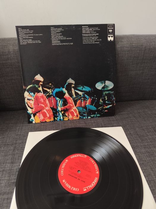 Mountain the Best LP