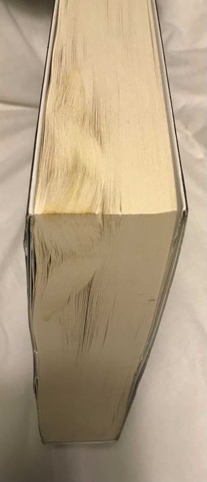 Livro "O intruso"